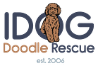 IDOG Doodle Rescue