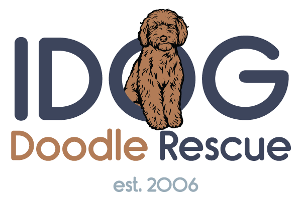 IDOG Doodle Rescue